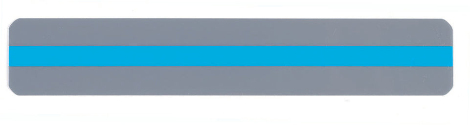 10801 Sentence Strip Reading Guide, Blue