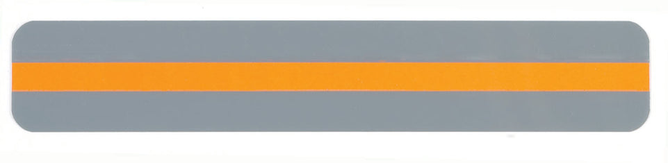 10804 Sentence Strip Reading Guide, Orange