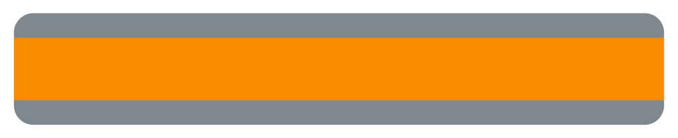 10865 Double Wide Sentence Strip Reading Guide, Orange