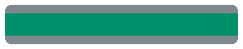 10866 Double Wide Sentence Strip Reading Guide, Green