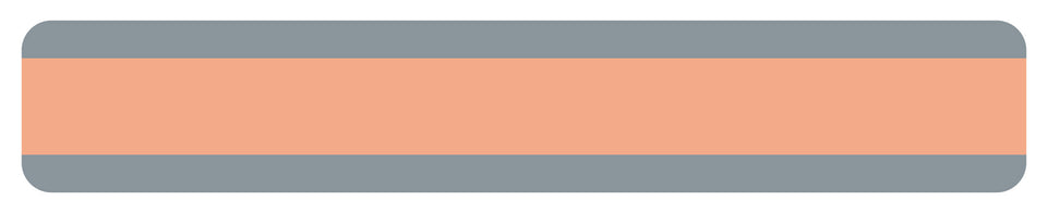 10873 Double Wide Sentence Strip Reading Guide, Peach