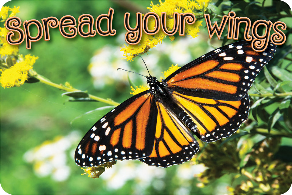 12536 Computer Mouse Pad, 11.75"x 8", Butterfly, Spread Your Wings