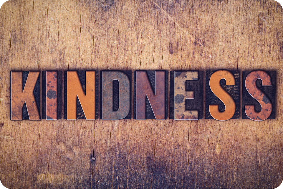 91587 The Original Fun Mat, Welcome Mat, 15.5" x 23.5", Kindness Letterpress